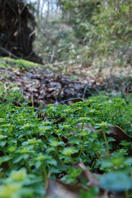 p_029.jpg