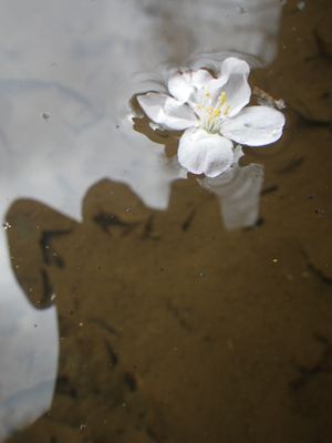 p_043.jpg