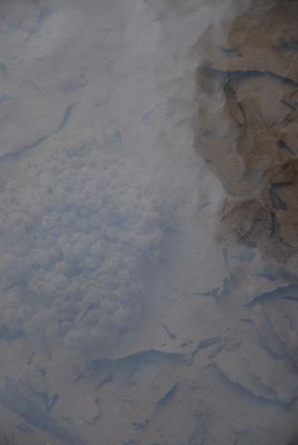 p_044.jpg