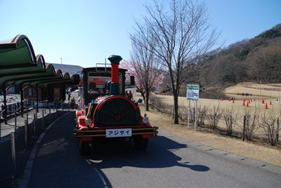p_006.jpg