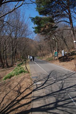p_007.jpg