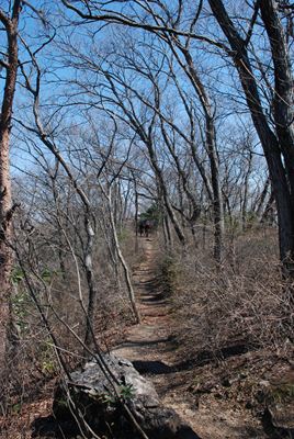 p_018.jpg