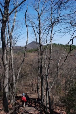 p_021.jpg