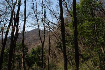 p_027.jpg