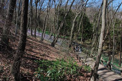 p_032.jpg