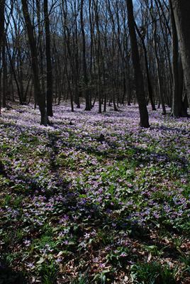 p_033.jpg