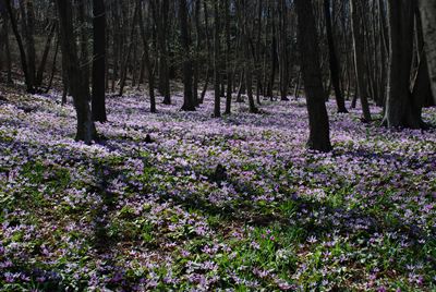 p_034.jpg