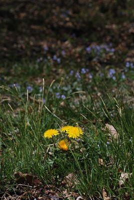 p_037.jpg