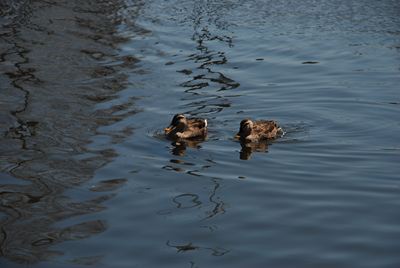 p_040.jpg