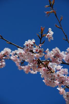 p_042.jpg
