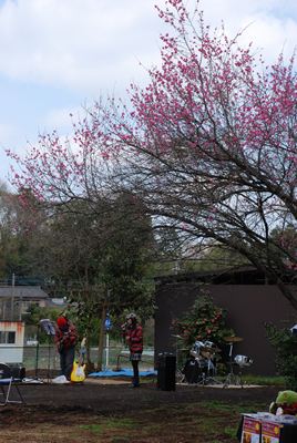 p_001.jpg