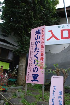 p_004.jpg