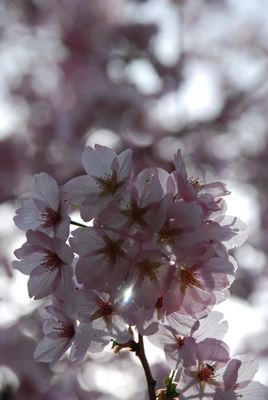 p_011.jpg