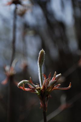 p_012.jpg