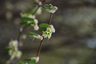 p_014.jpg