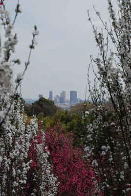 p_016.jpg