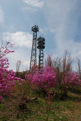p_017.jpg