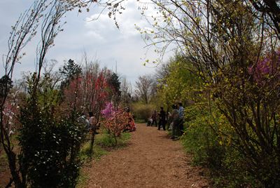 p_018.jpg