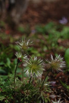 p_027.jpg