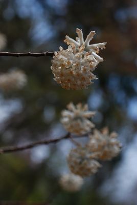 p_029.jpg
