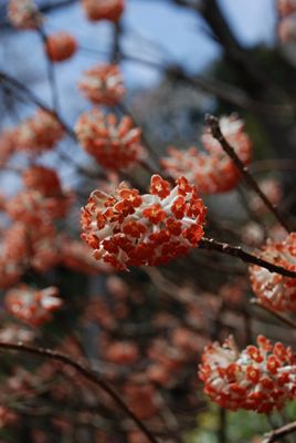 p_030.jpg