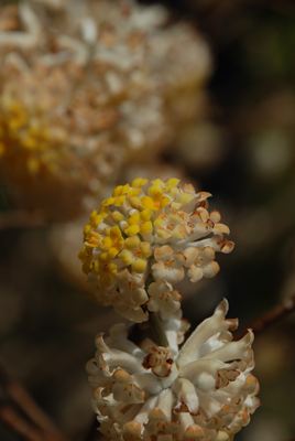 p_031.jpg