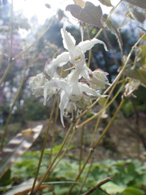 p_051.jpg