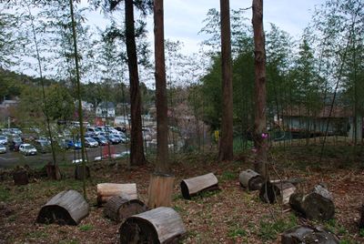 p_053.jpg