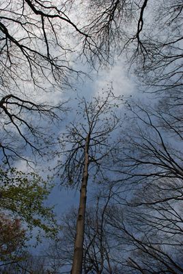 p_063.jpg