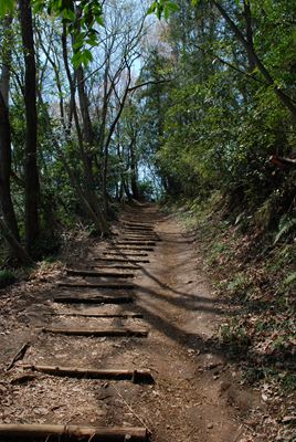 p_065.jpg