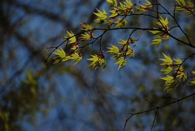 p_067.jpg