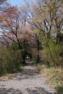 p_068.jpg