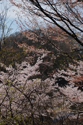p_069.jpg