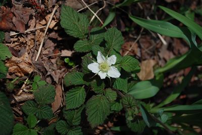 p_070.jpg