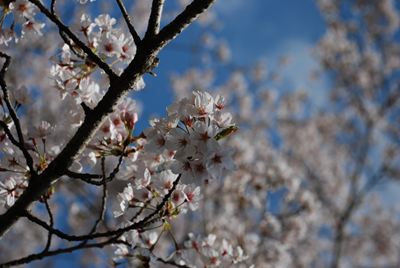 p_073.jpg
