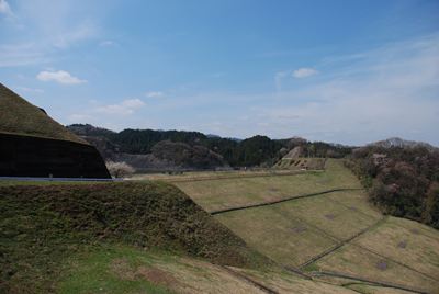 p_078.jpg