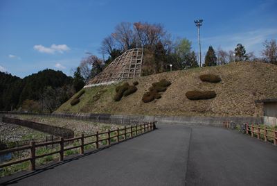 p_081.jpg