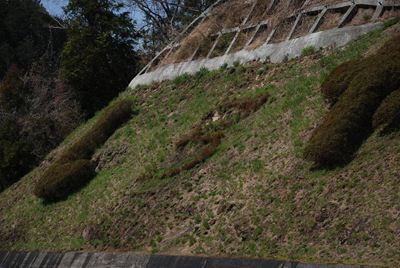p_082.jpg