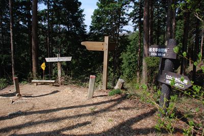 p_084.jpg