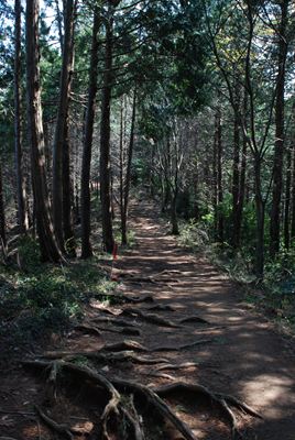 p_087.jpg
