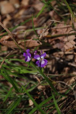 p_092.jpg