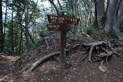 p_094.jpg