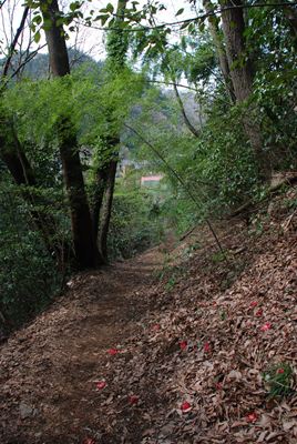 p_095.jpg