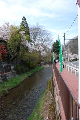 p_097.jpg