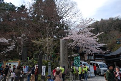 p_099.jpg