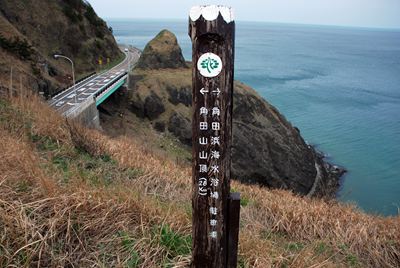 p_010.jpg