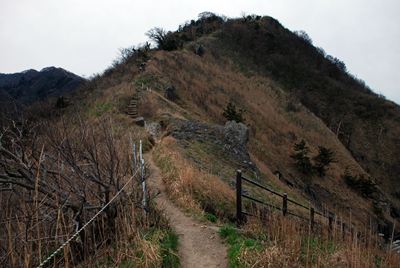 p_011.jpg