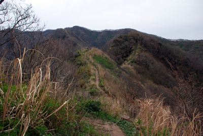p_014.jpg