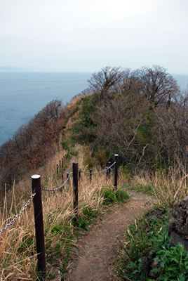 p_019.jpg