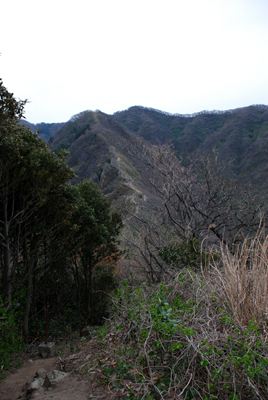 p_022.jpg